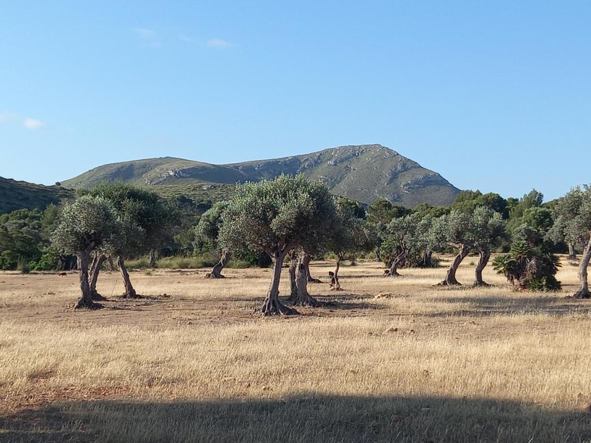 El Nido De Betlem Lägenhet